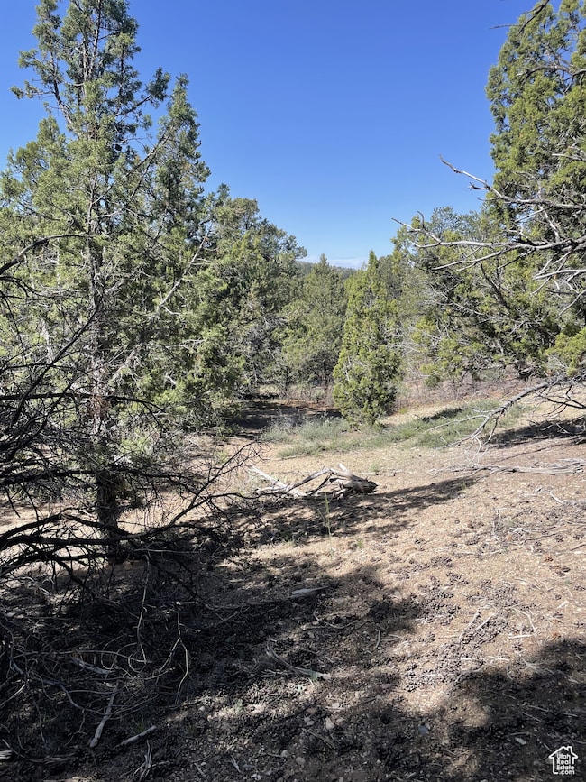 292 U S Highway 89 unit 12, Fairview, UT 84629 - photo 6