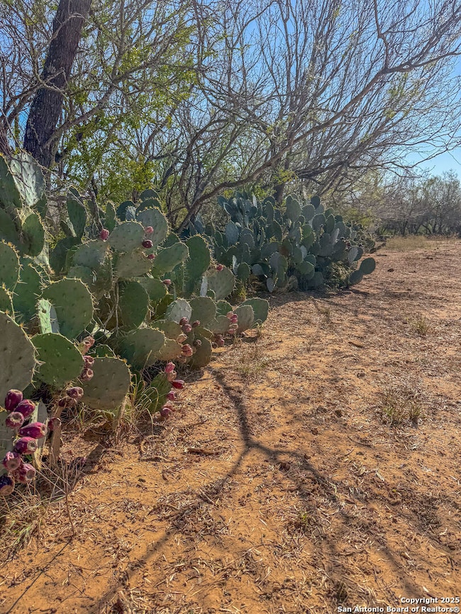 000 TRACT 3 & 5 Farm To Market Road 539, La Vernia, TX 78121 - photo 6