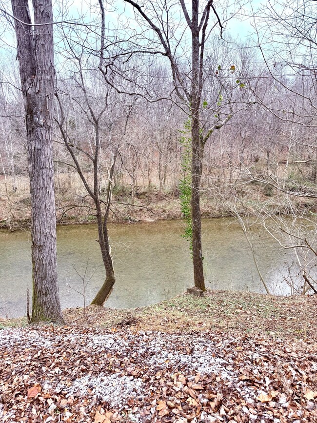 0 Cove Ln unit RTC3056801, Lawrenceburg, TN 38464 - photo 3