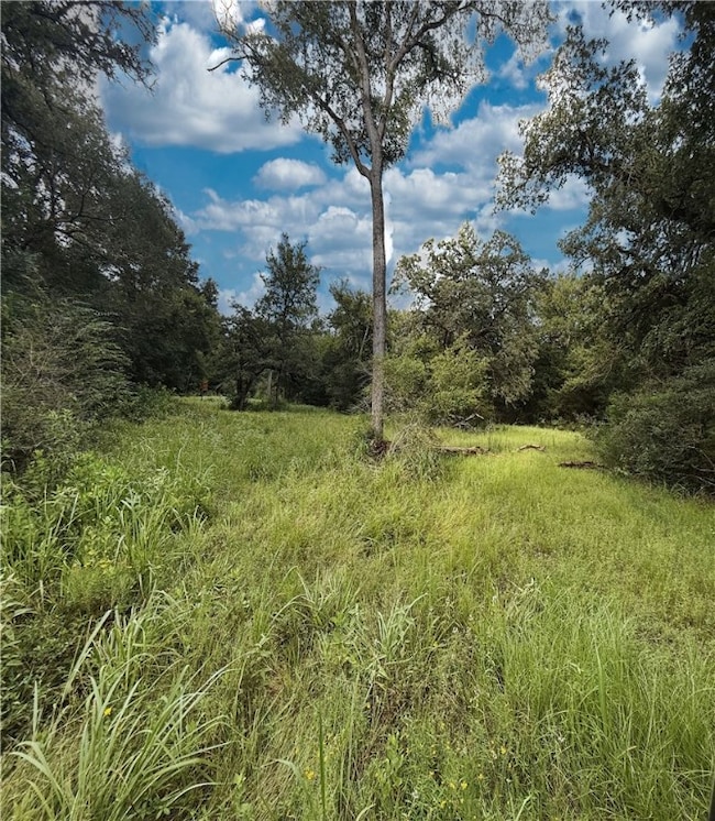 TBD E Old Hickory Grove Road Co Ne County Rd NE, Franklin, TX 77856 - photo 2