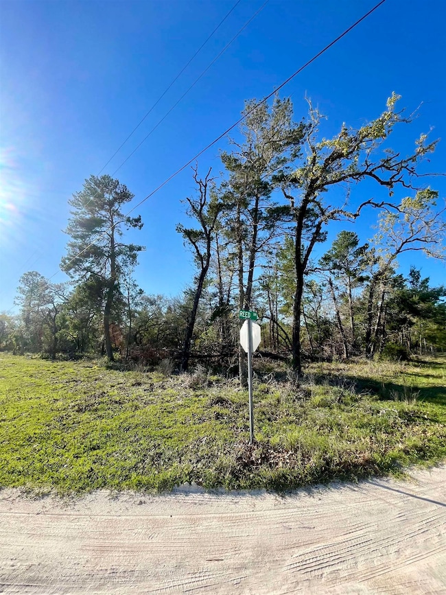 00 Reed Dr, Perry, FL 32348 - photo 5