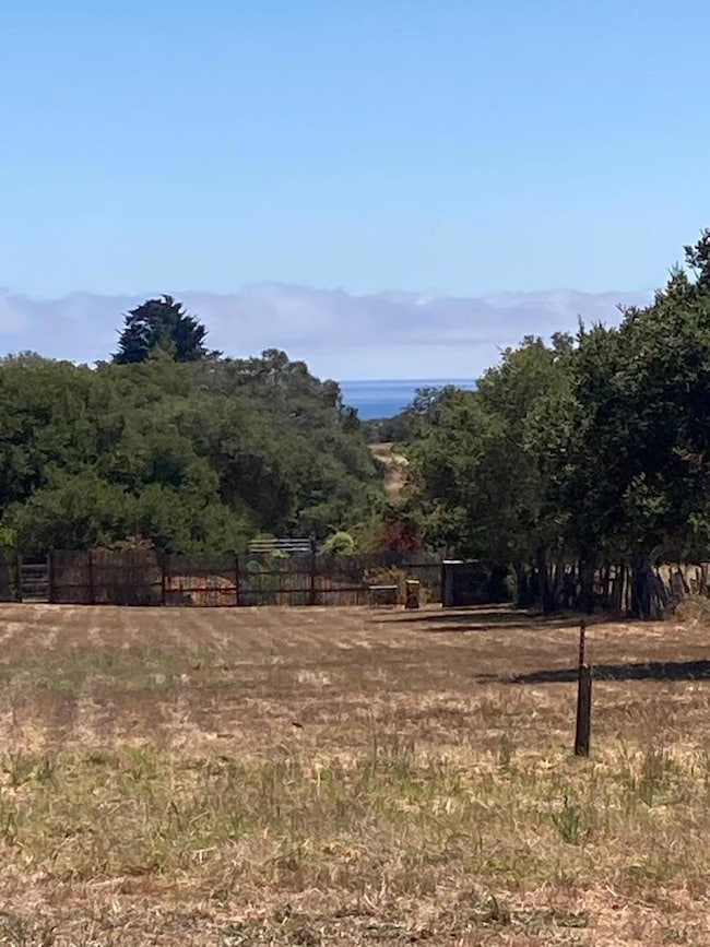 222 Highview Dr, Santa Cruz, CA 95060 - photo 5