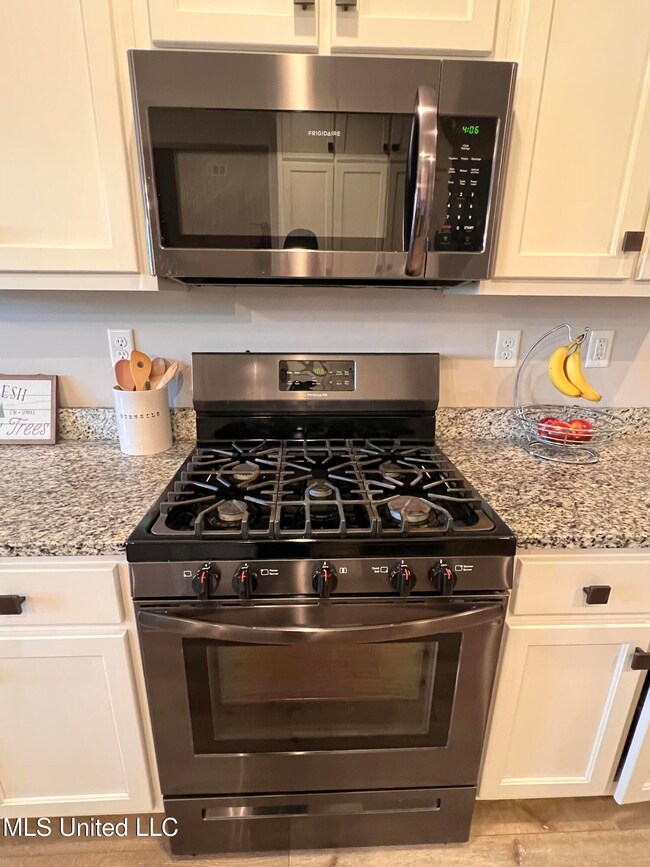 Gas Stainless Steel Stove