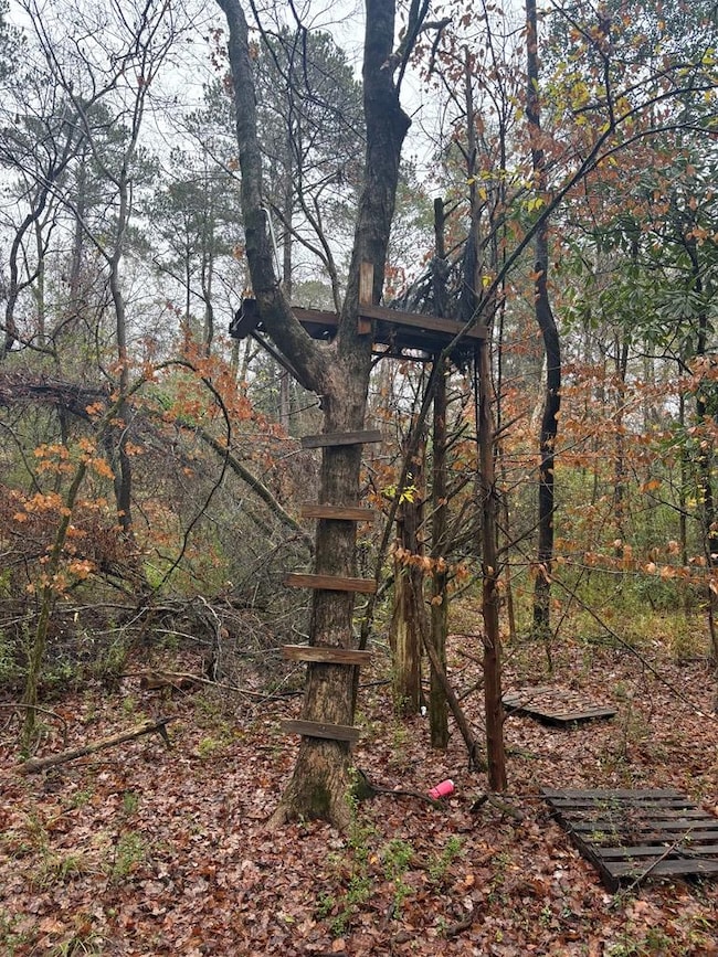 1206 Rock Bridge Dr, Columbus, GA 31904 - photo 4