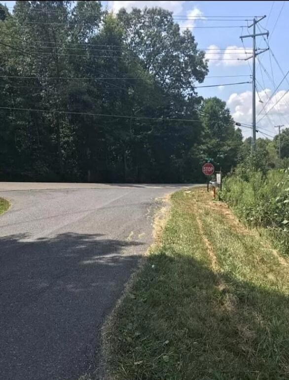 102 Kincheloe Rd Rd, Fall Branch, TN 37656 - photo 2