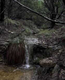 unlisted-address, Medina, TX 78055 - photo 5