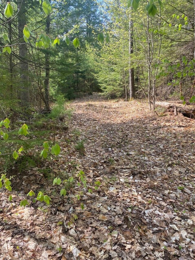 000 N Bridgton Rd, Bridgton, ME 04009 - photo 3