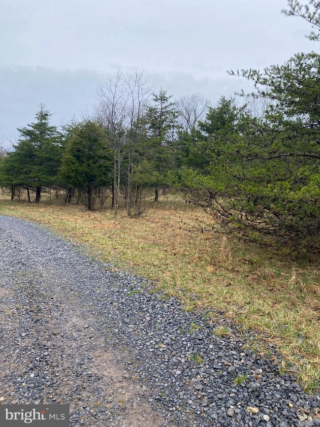 0 Hank Ln unit WVMO118258, Berkeley Springs, WV 25411 - photo 4