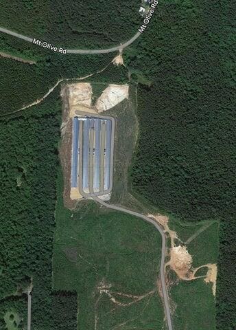 3061 County Road 51, Fayette, AL 35555 - photo 4