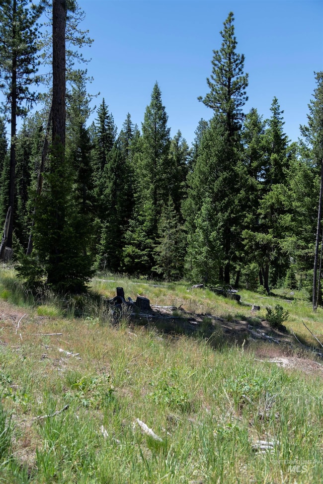 TBD 33 Clear Creek Rd, Cascade, ID 83611 - photo 6