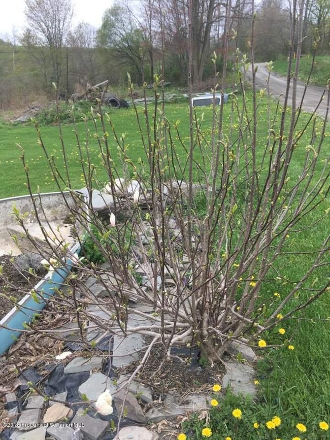 1971 Mack Rd, Hop Bottom, PA 18824 - photo 3