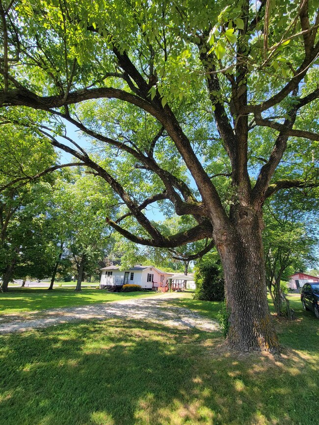 106 School St, Livermore, KY 42352 - photo 7