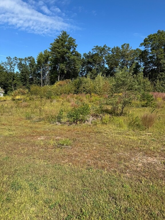 4 Fitch Farm Way, Southampton, MA 01073 - photo 4