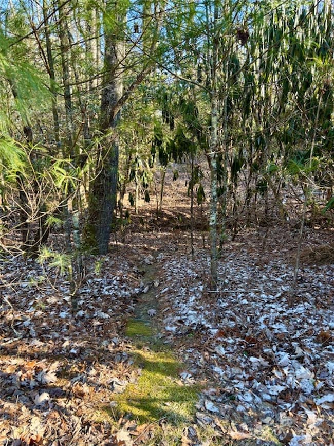 99999 Small Creek Rd unit 4, Brevard, NC 28712 - photo 4