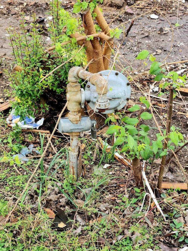 1001 S Medora St, Terrell, TX 75160 - photo 4