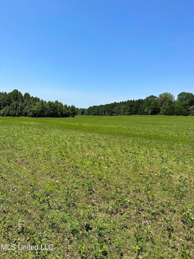 Field