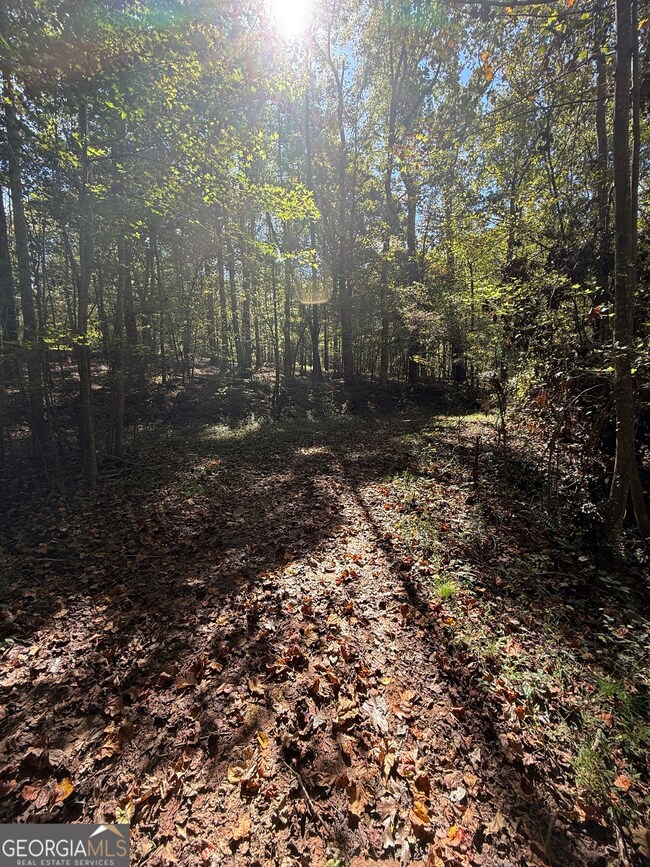 0 Erastus Church Rd unit 10647276, Commerce, GA 30530 - photo 7