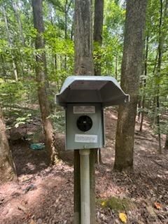 268 14th St, Ellijay, GA 30540 - photo 7