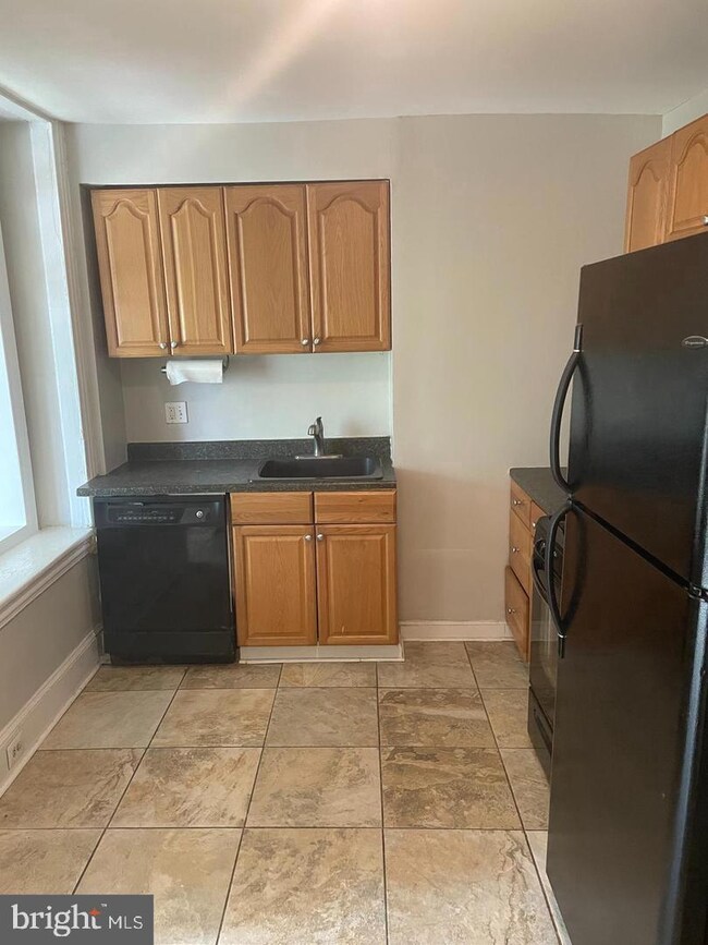 234 Dupont St, Philadelphia, PA 19127 - photo 4