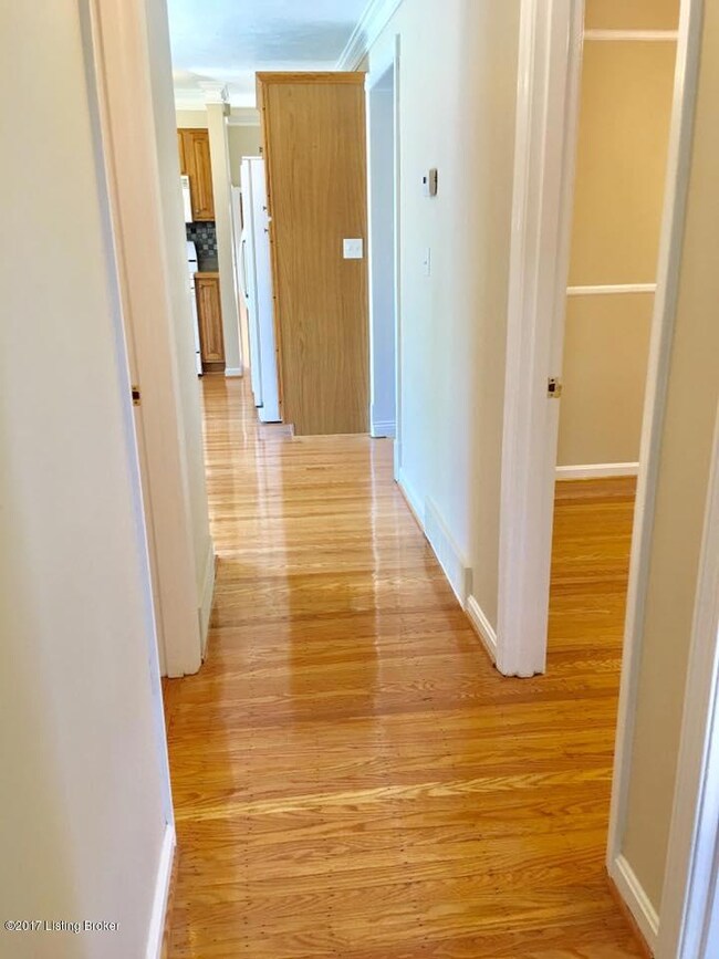 19756837_10211995116386849_4149739081453