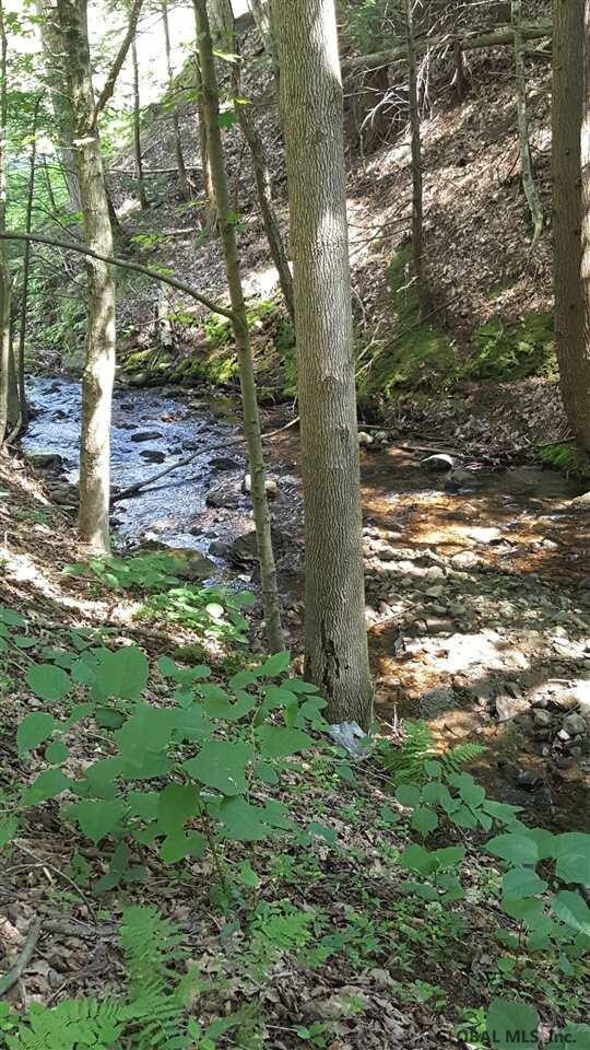 170 Lake Desolation Rd, Middle Grove, NY 12850 - photo 3