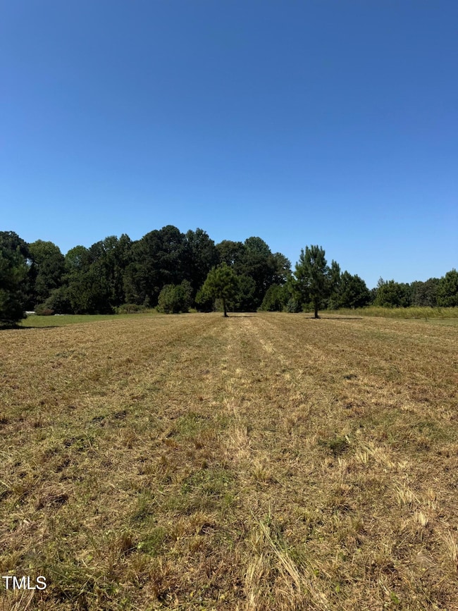 1 Basstown Rd, Clinton, NC 28328 - photo 2