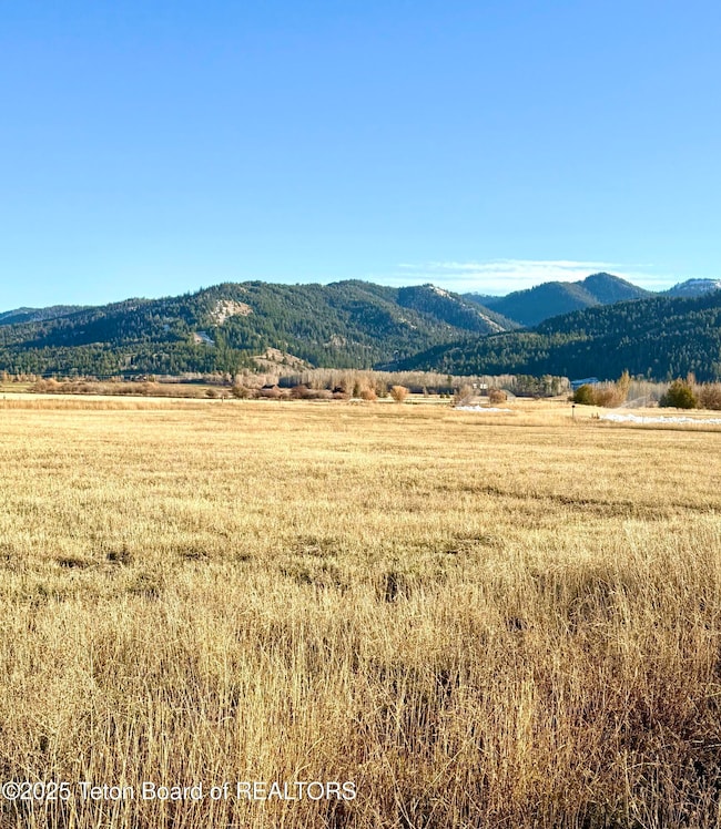 CW South View Pole line. Smith Canyon