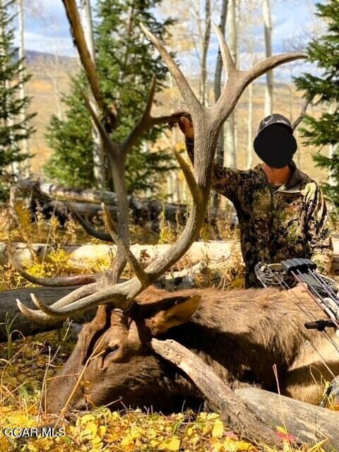 Bull Elk 3 ERR