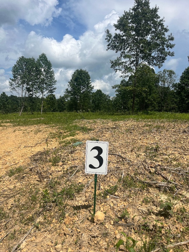 10898 Back Piney Rd, Bon Aqua, TN 37025 - photo 3