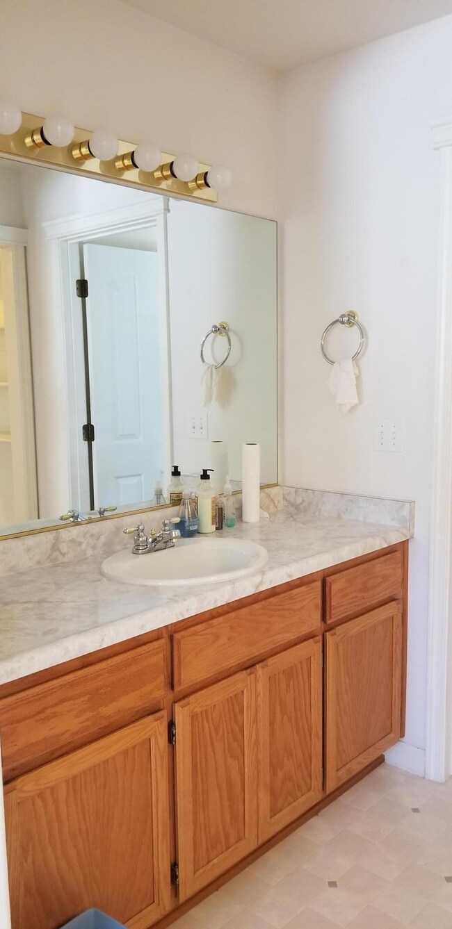 Master Vanity