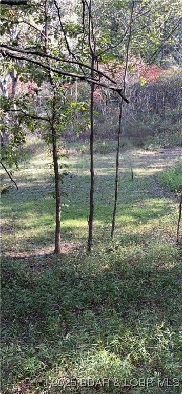 0 Tbd Quail Run, Preston, MO 65732 - photo 3
