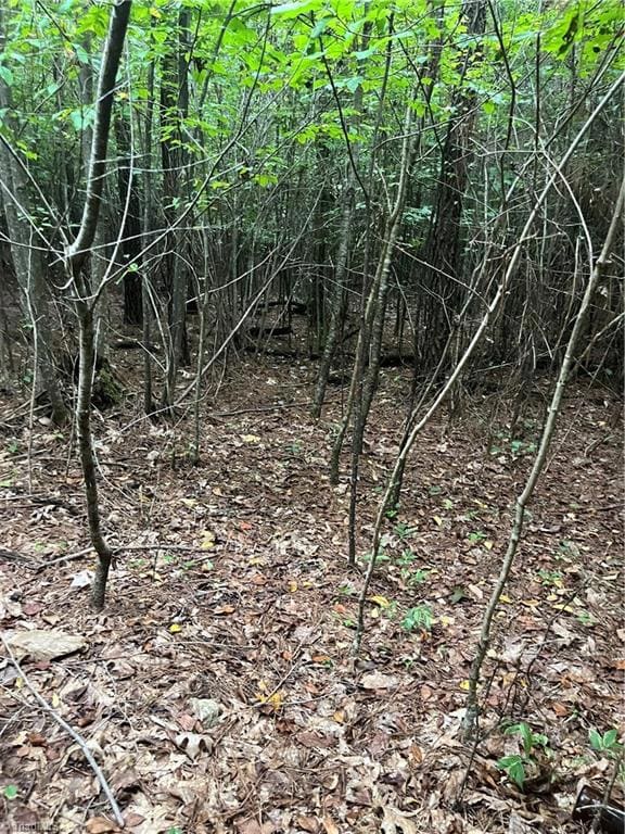 0 S Stokes School Rd, Walnut Cove, NC 27052 - photo 7