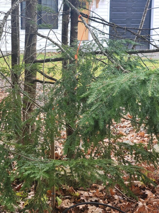 Lot 288 King Hill Rd, Lake Arrowhead, ME 04048 - photo 5