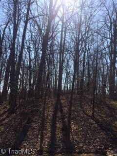 0 Canterbury Trail, Asheboro, NC 27205 - photo 7