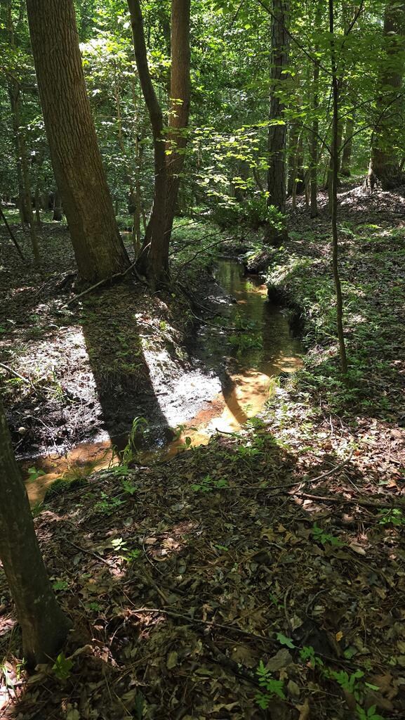 Lot A Airport Dr unit A, Melfa, VA 23410 - photo 3