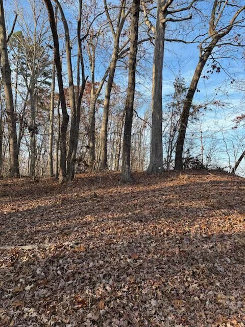 201 Oconee Ave, Chickasaw Point, SC 29693 - photo 2