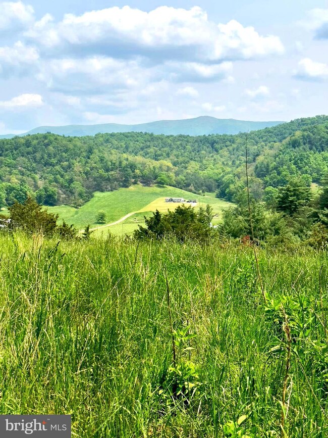 15 ac Honeycomb Ln, Sugar Grove, WV 26815 - photo 3