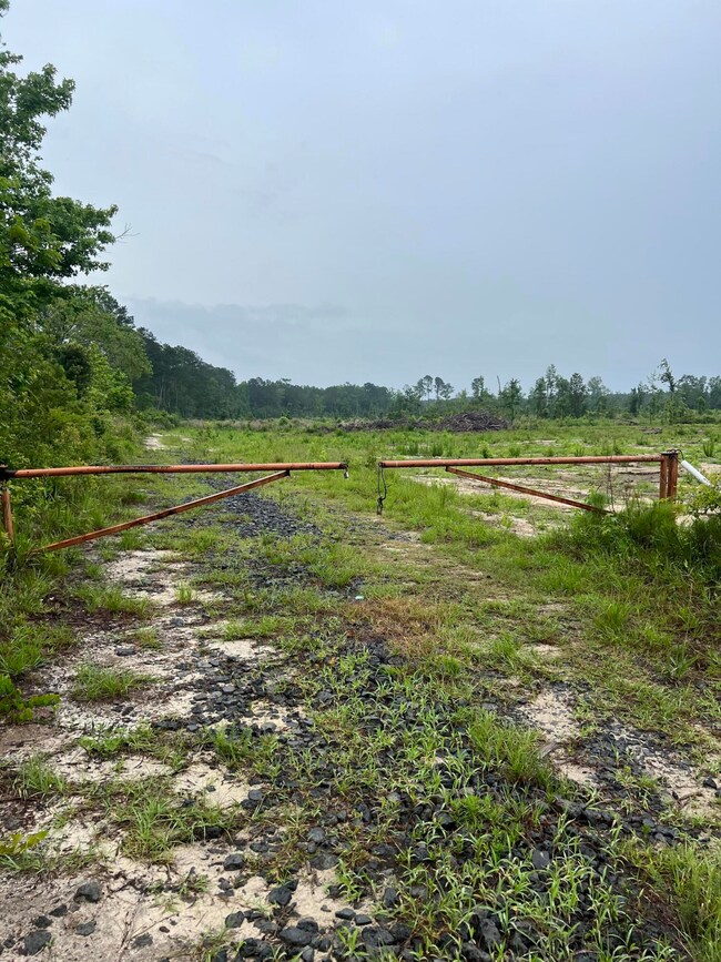 71 Herndon St unit Tract B-6, Walterboro, SC 29488 - photo 6