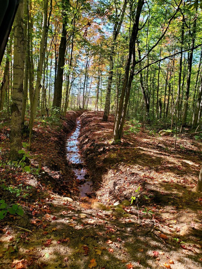 9009 Huffman Lake Rd, Vanderbilt, MI 49795 - photo 3