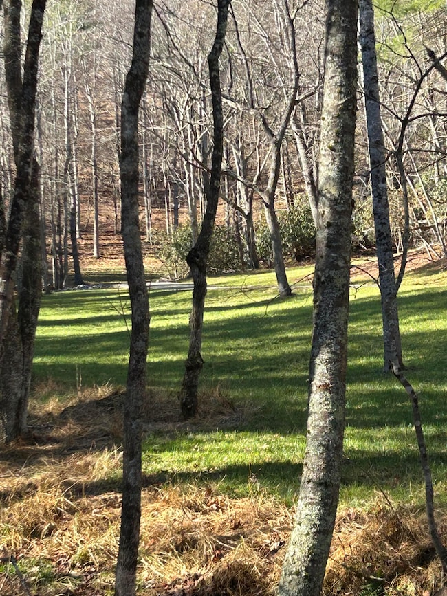 0 Bottom Creek Rd unit 922959, Bent Mountain, VA 24059 - photo 2