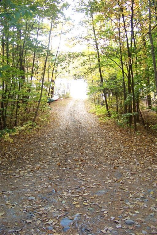 354 New Bridge Rd, Acton, ME 04001 - photo 5