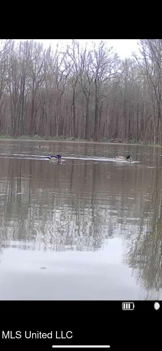 0 Highway 12, Tchula, MS 39169 - photo 3