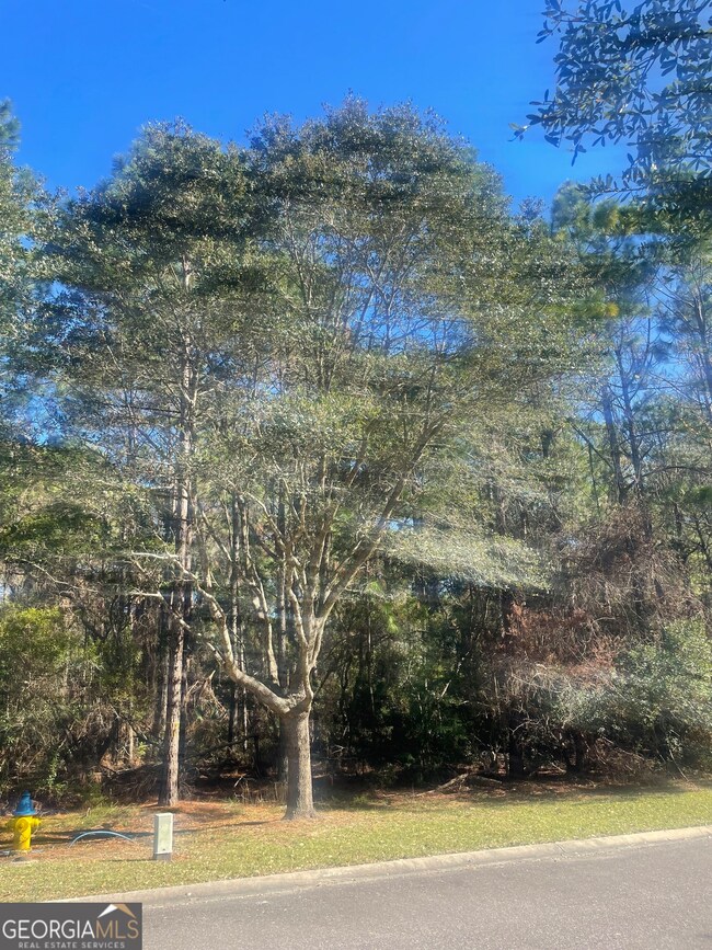 0 Jetty Place unit 10435103, St. Marys, GA 31558 - photo 6