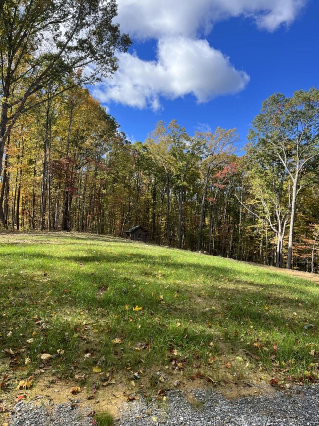 0 Little Catawba Creek Rd, Amsterdam, VA 24175 - photo 7