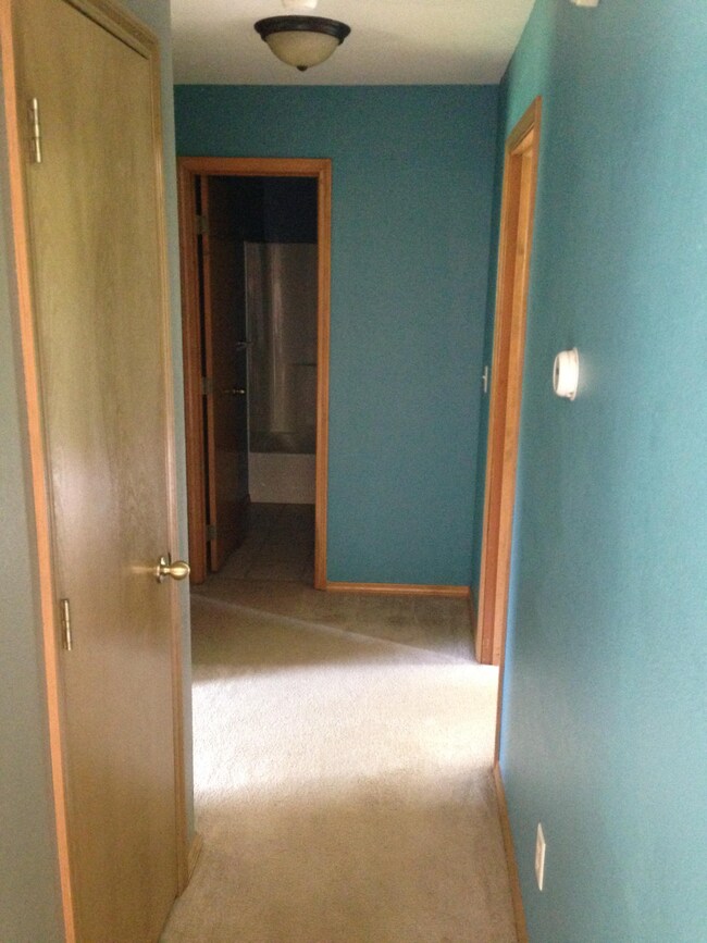 345 Windancer Rd, Ozark, MO 65721 - photo 5