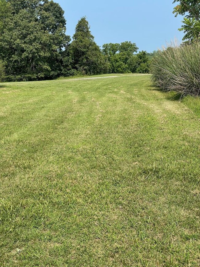 0 Wellspring Ln, South Boston, VA 24592 - photo 7