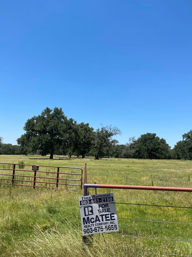 0 Cr 1200, Athens, TX 75751 - photo 6