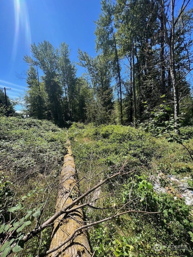 14000 Center Rd, Everett, WA 98204 - photo 2