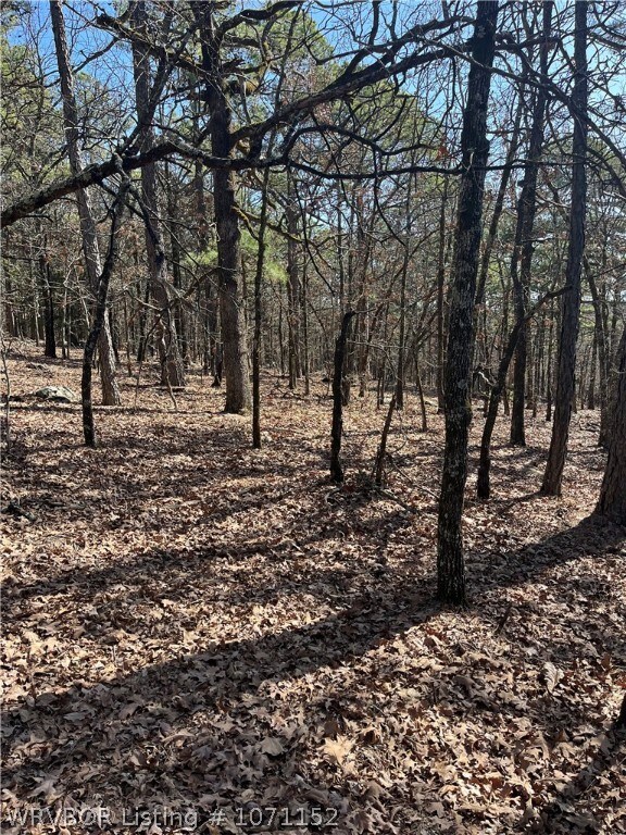 TBD 1156th Ave, Red Oak, OK 74563 - photo 2