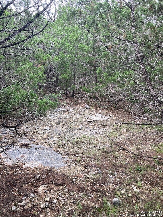 9856 Cash Mountain Rd, Helotes, TX 78023 - photo 7